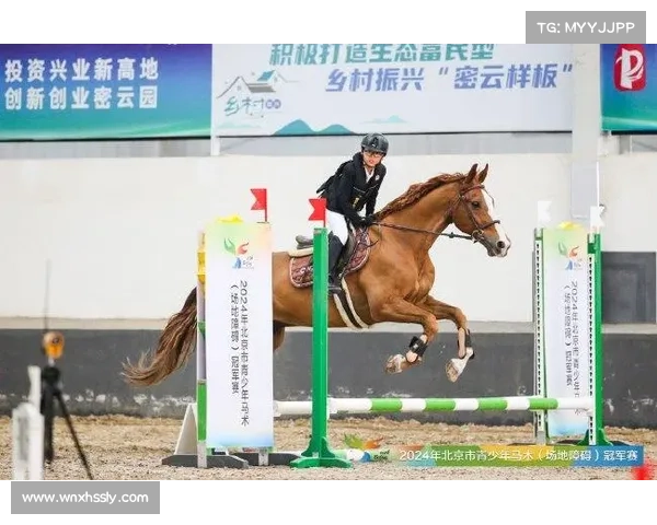 沙田马场赛事 沙田马场周末赛事激情四射精英骑师与名驹争锋相对速度之战引爆全场