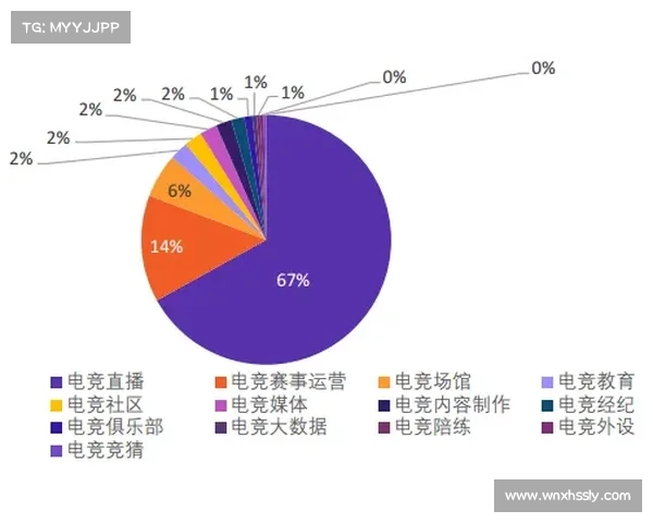 赛事公司估值(赛事公司简介) 赛事公司估值(赛事公司简介)